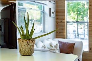 Exterior - Minimalist Hideaway (Packwood)