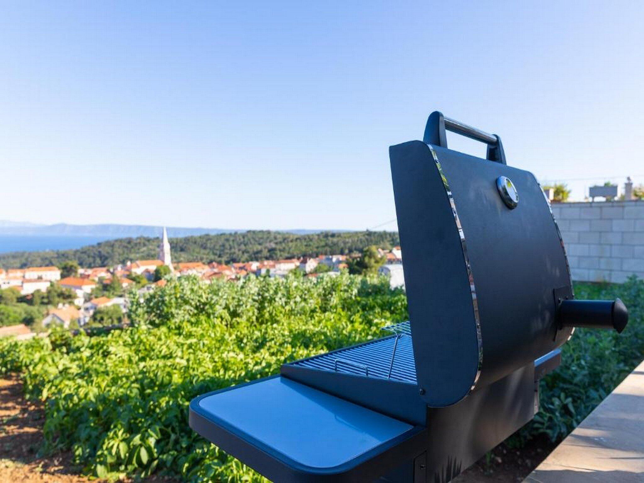 En grillplats för utomhusmatlagning med utsikt över en vingård och avlägsna byggnader.
