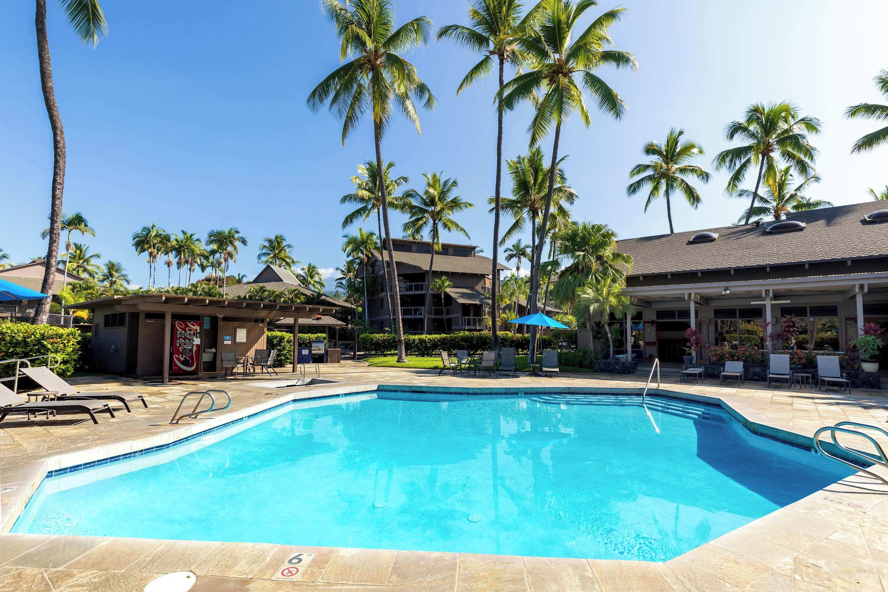 Une piscine avec des chaises longues et des palmiers.