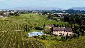 A vineyard with rows of grapevines, a swimming pool, and a building with a tiled roof.