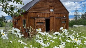 Une grange rustique en bois, dotée d’un toit en pente, entourée d’un champ de marguerites blanches.