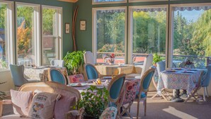 Une pièce lumineuse, baignée de soleil, avec de grandes fenêtres, une table à manger, des chaises et un canapé.