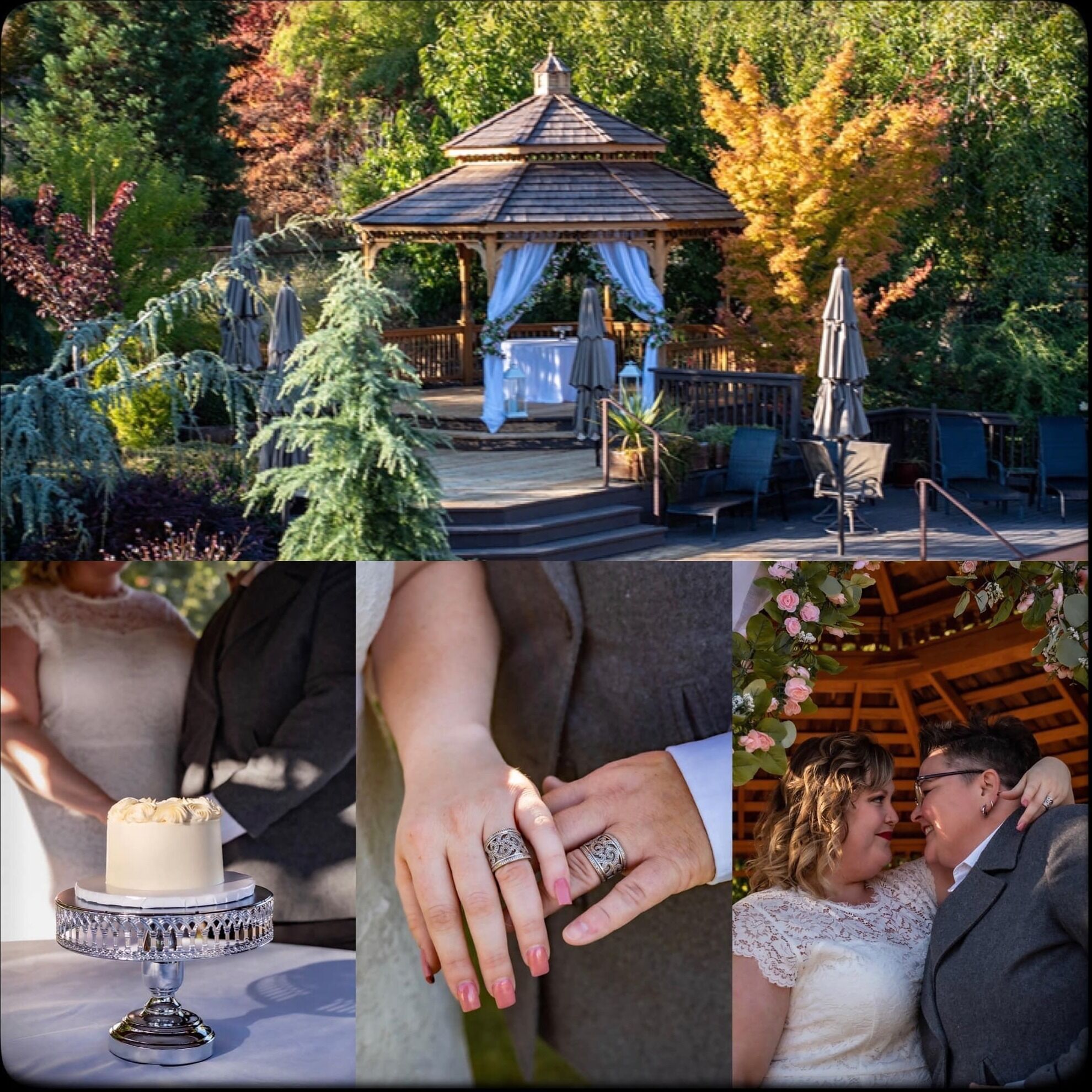 A gazebo with a wooden roof and blue curtains, surrounded by trees and outdoor seating.