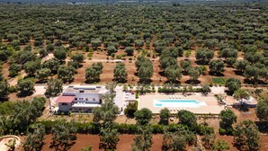 An aerial view of a property with olive groves, a swimming pool, and a building with a red roof. - 1963 Villa Ajeni by Perle di Puglia (San Michele Salentino)
