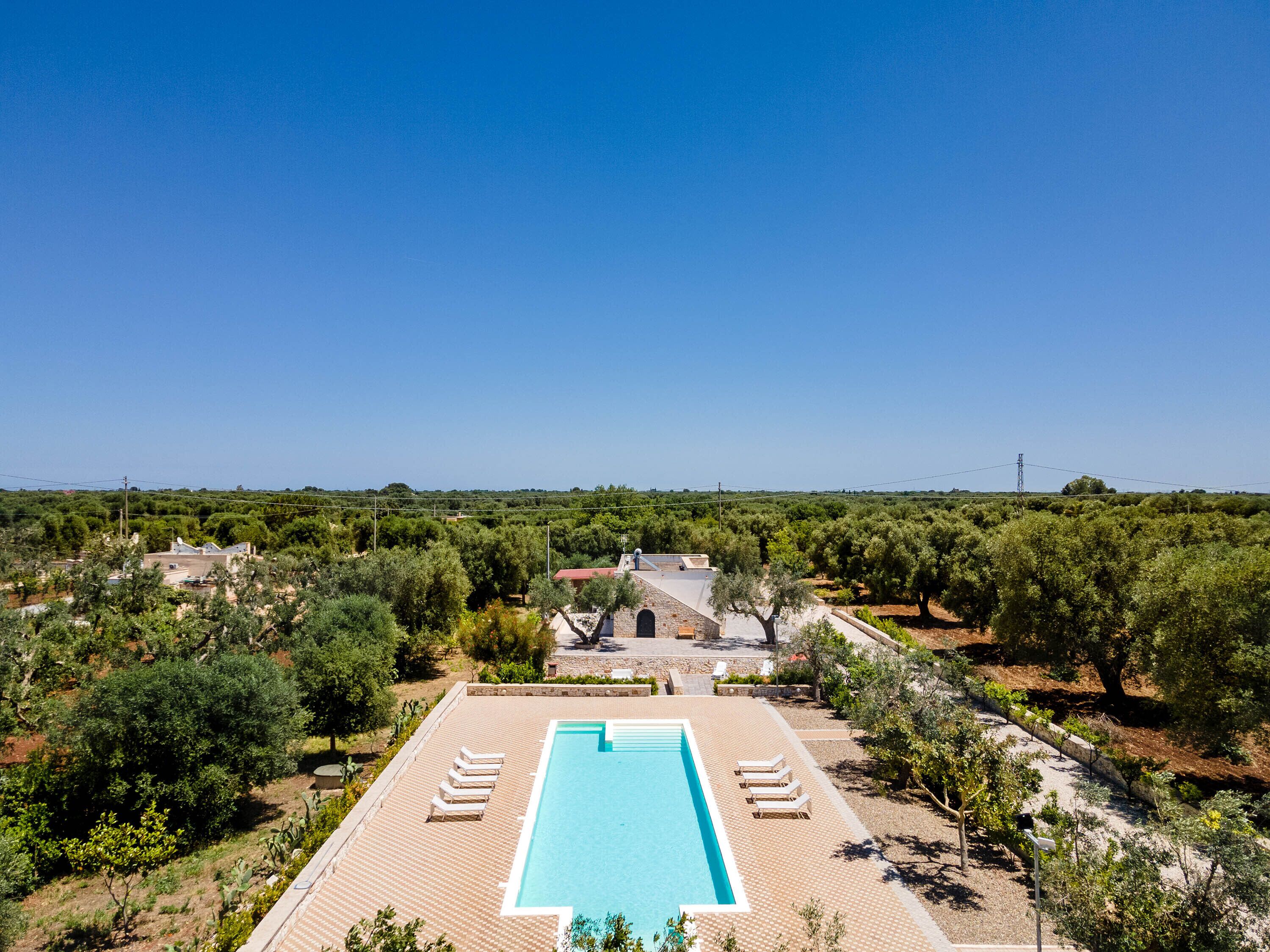 A rectangular pool with a tiled deck, surrounded by lounge chairs, set in a landscaped area with trees and shrubs.