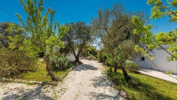 Khuôn viên nơi lưu trú