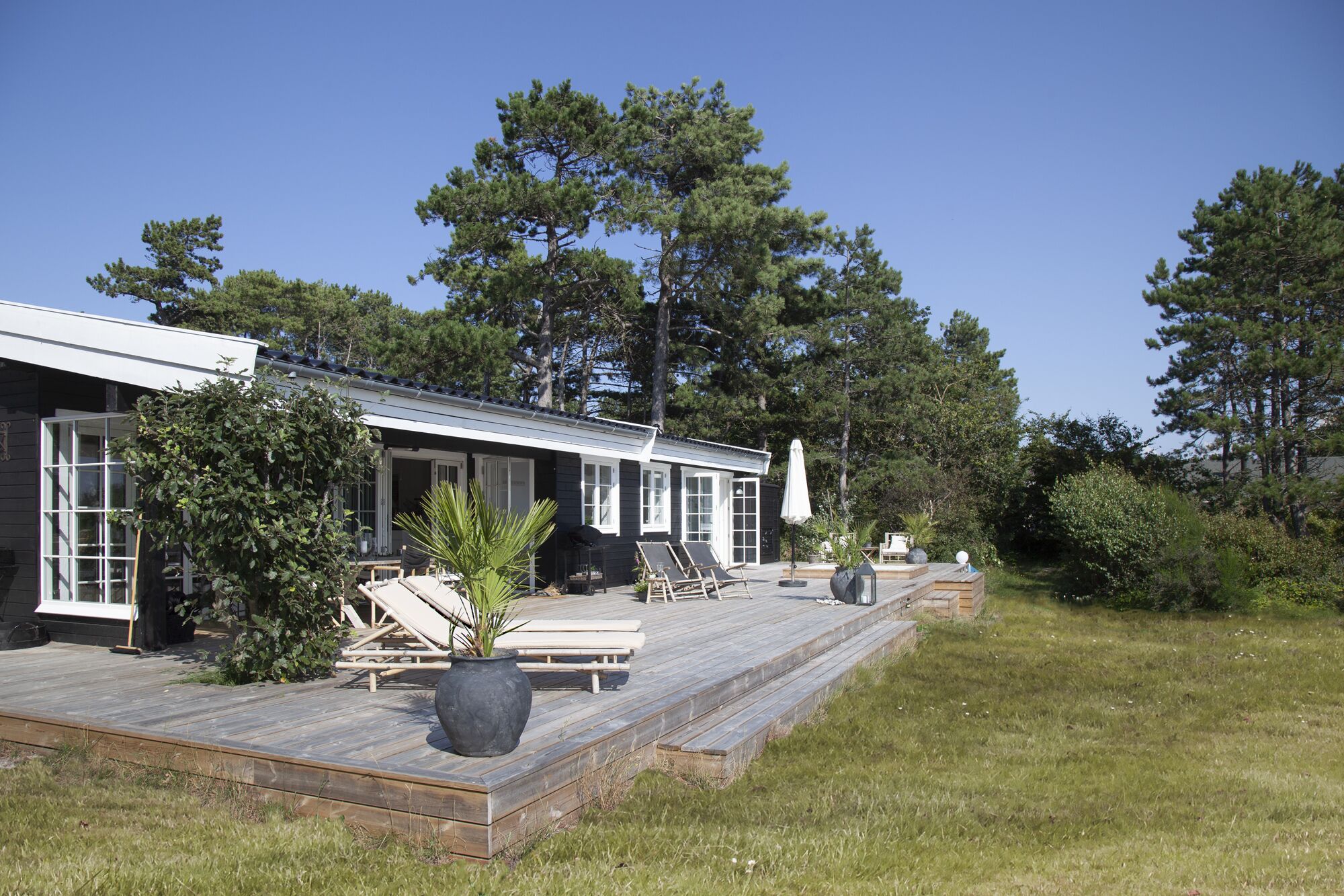 Une maison moderne dotée d’une terrasse en bois, d’un espace salon extérieur et d’un grand arbre en arrière-plan.