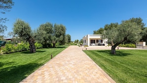 A paved pathway leading to a building with a balcony, surrounded by well-maintained grass and olive trees. - 2921 Villa La Seta by Perle di Puglia (San Vito dei Normanni)