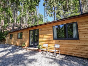 A wooden cabin with large windows, a gravel driveway, and potted plants. - Lady Bagots Cabin (Ruthin)