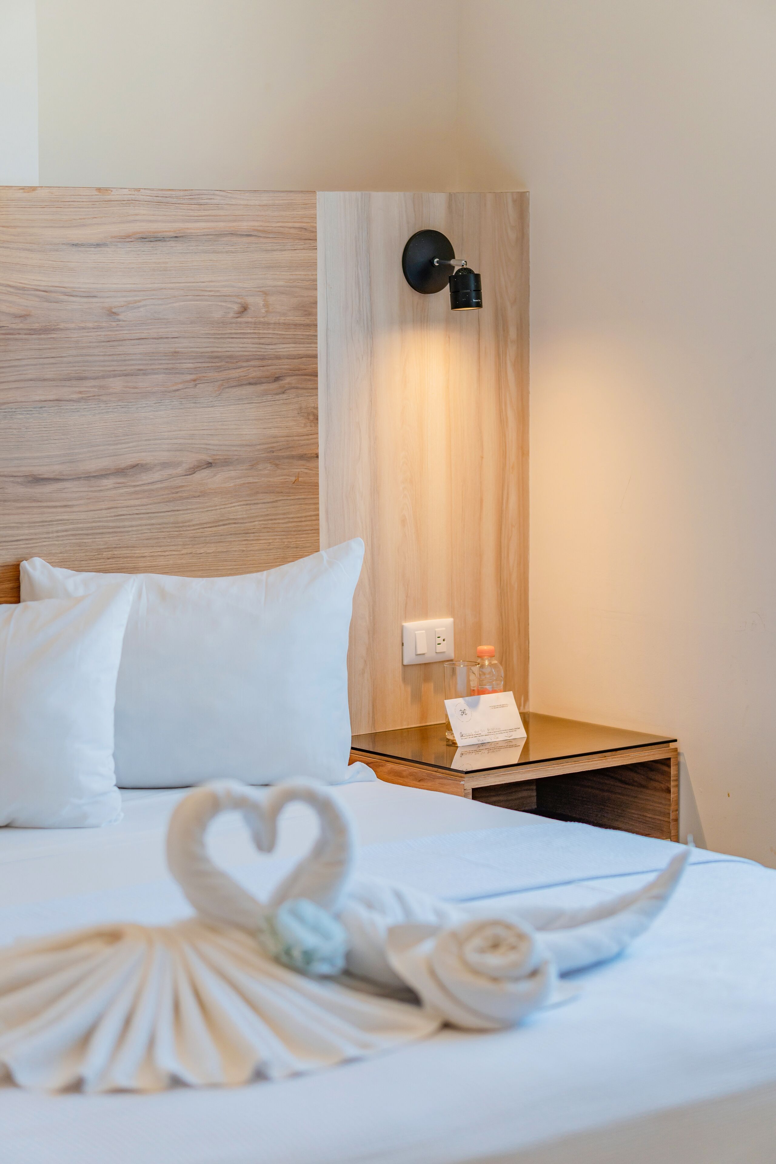 Photo - Hotel Central Merida by Kavia