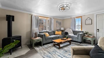 Smart TV, fireplace, books, offices
