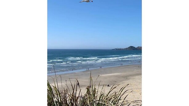 Uma praia com ondas, céu claro e dois pássaros voando.
