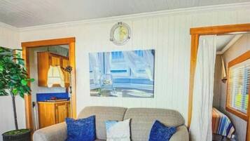 TV connectée, cheminée, livres