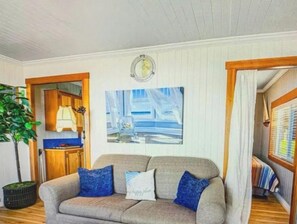 Smart TV, fireplace, books