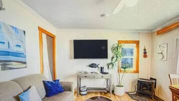 TV connectée, cheminée, livres