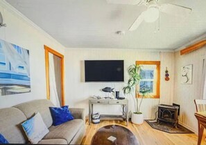 Smart TV, fireplace, books