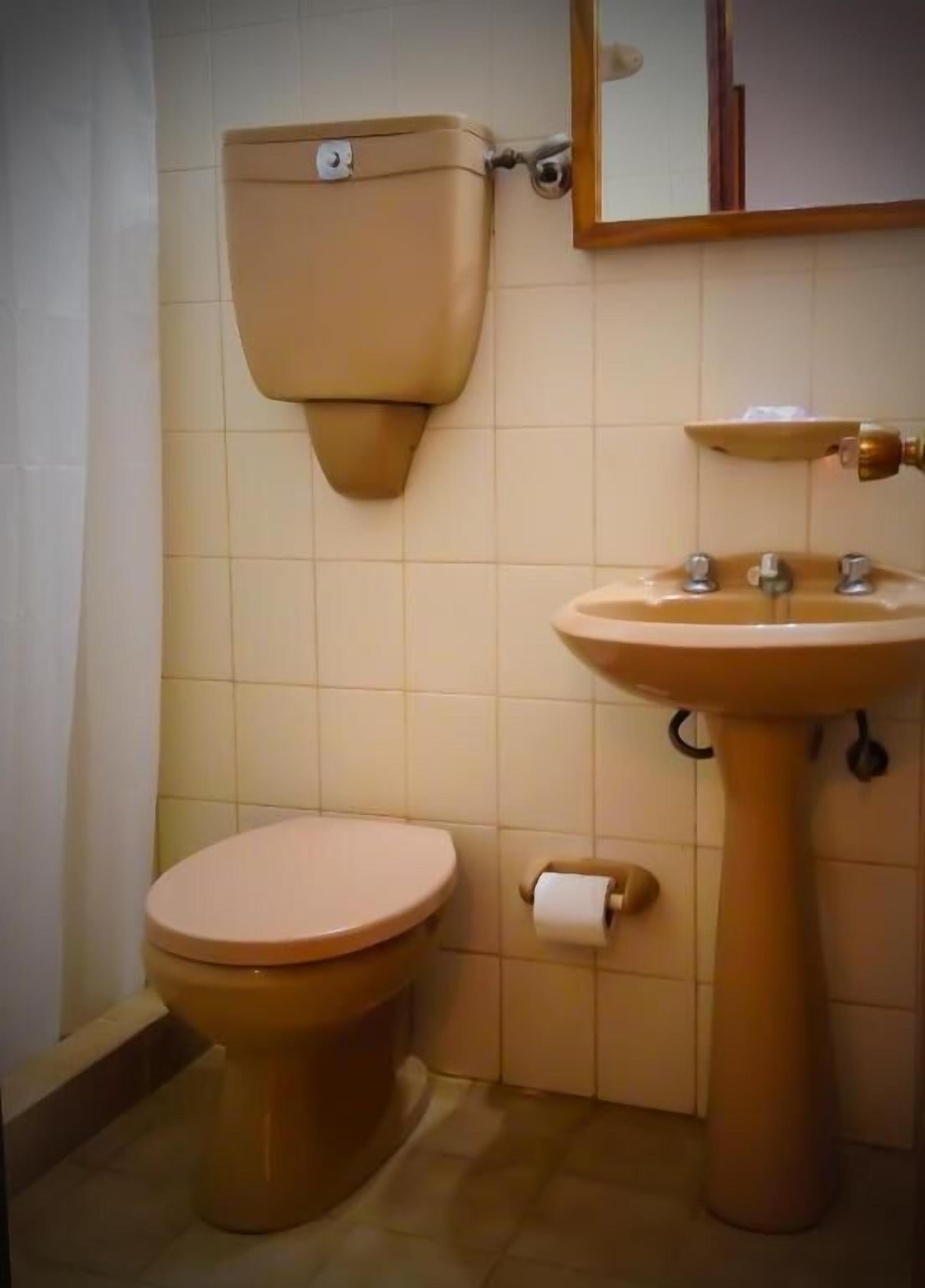 Un baño con inodoro, lavamanos y un espejo sobre el lavamanos.