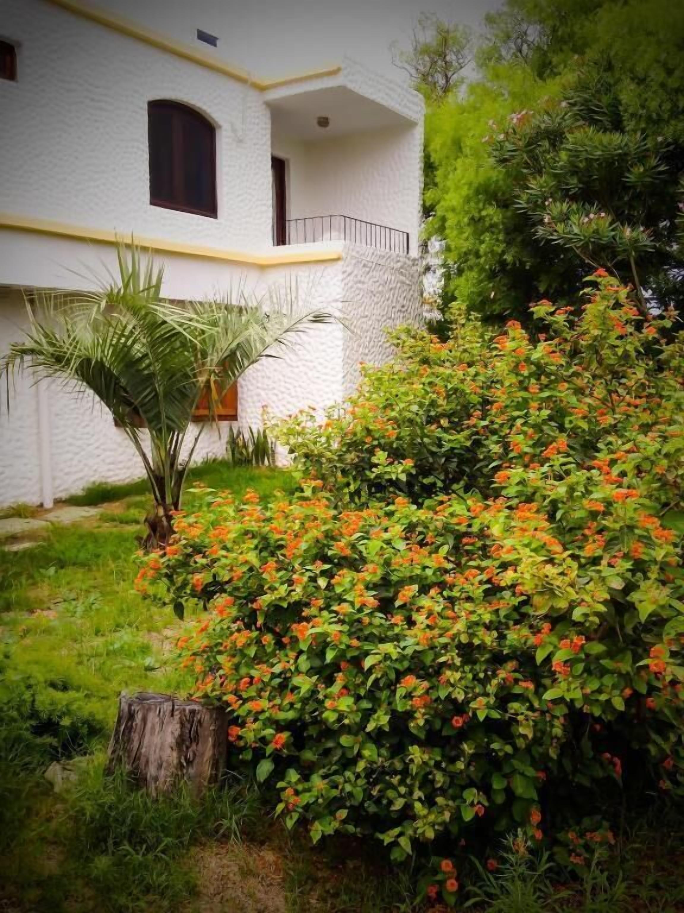 Ein weißes Gebäude mit Balkon, umgeben von üppiger Vegetation und leuchtend orangefarbenen Blüten.