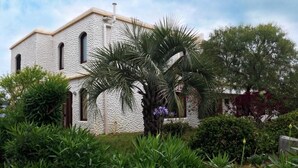 Un edificio con facciata strutturata, finestre ad arco e un giardino con diverse piante e una palma.