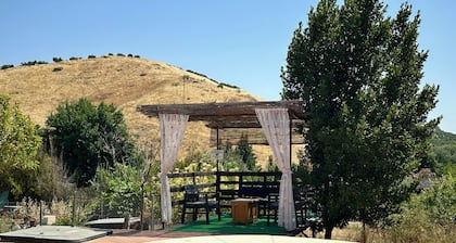 Villa with pool El Arado