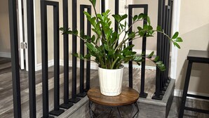 A hallway with a potted plant on a round wooden table, black metal railings, and a door in the background. - Large Remodeled Central Located Minutes to the Beach & Downtown Free Big Parking (Pensacola)