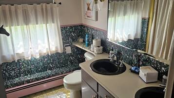 Combined shower/tub, hair dryer, towels, soap