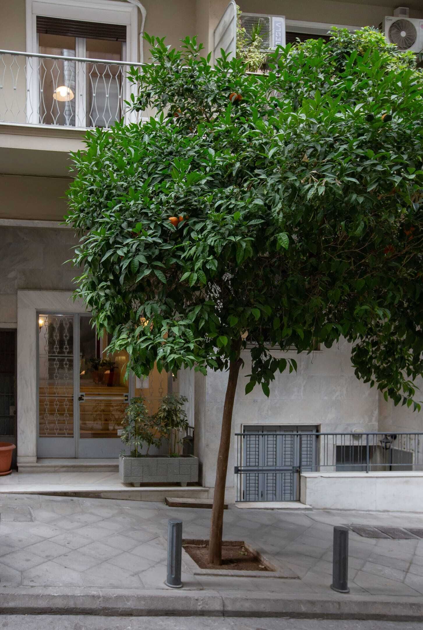 Details aan de buitenkant