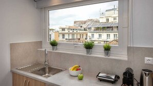 A modern kitchen with a stainless steel sink, a dishwashing unit, and a window with potted plants. - 3 bedroom apt next to Syntagma with Acropolis view, Luxury Apartment (Athens)