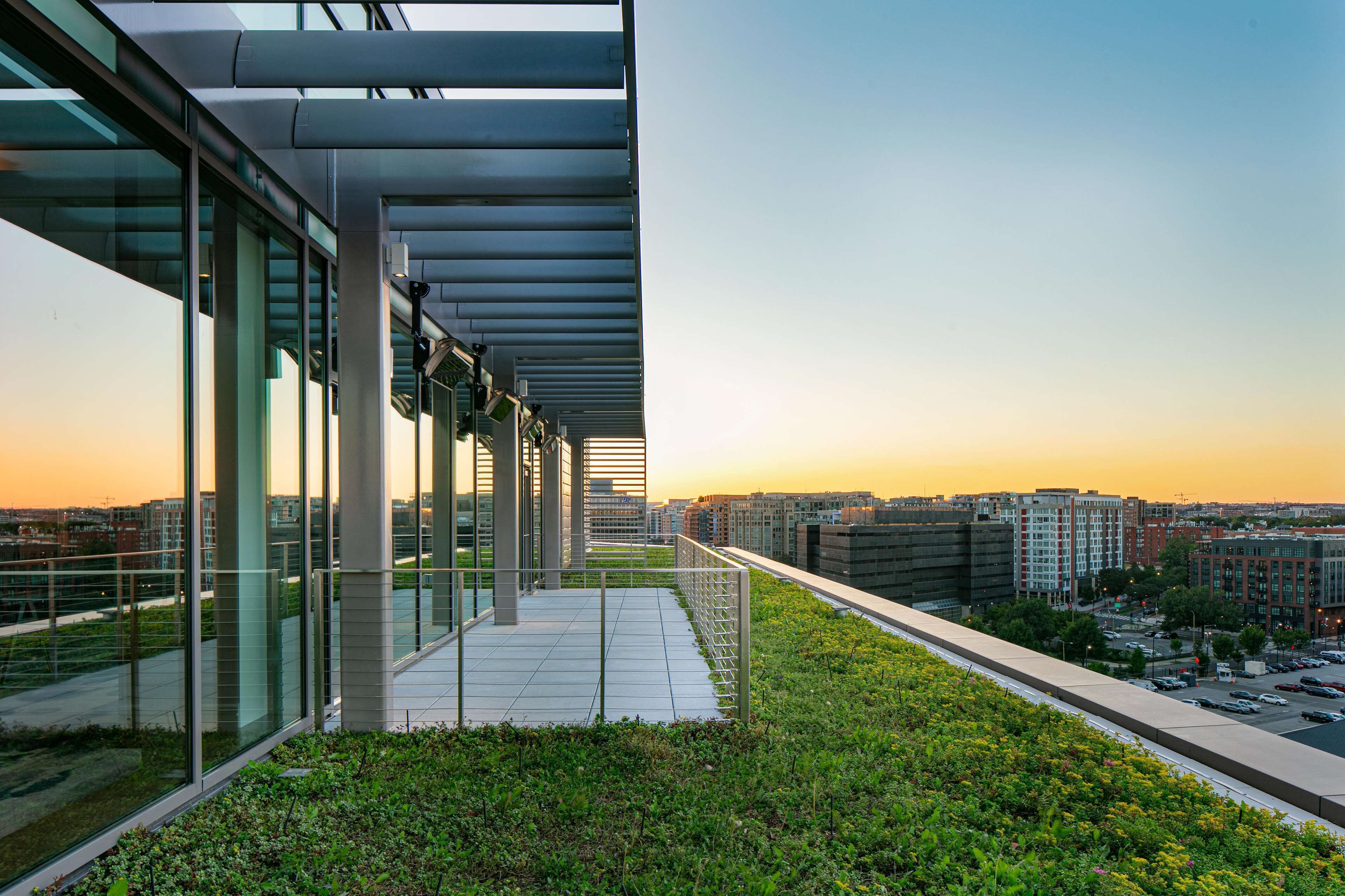 Foto - The Royal Sonesta Washington DC Capitol Hill