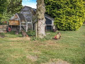 Property grounds - Kingfisher - UK41950 (Louth)