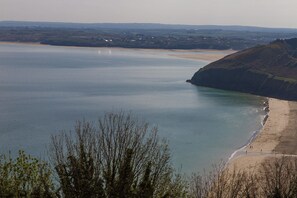 Eine Küstenlandschaft mit Strand, Bäumen und einer in der Ferne liegenden Stadt.