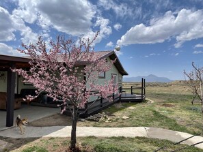 Property grounds - Mesa Verde Farmhouse 360 Views near Cortez, CO (Cortez)