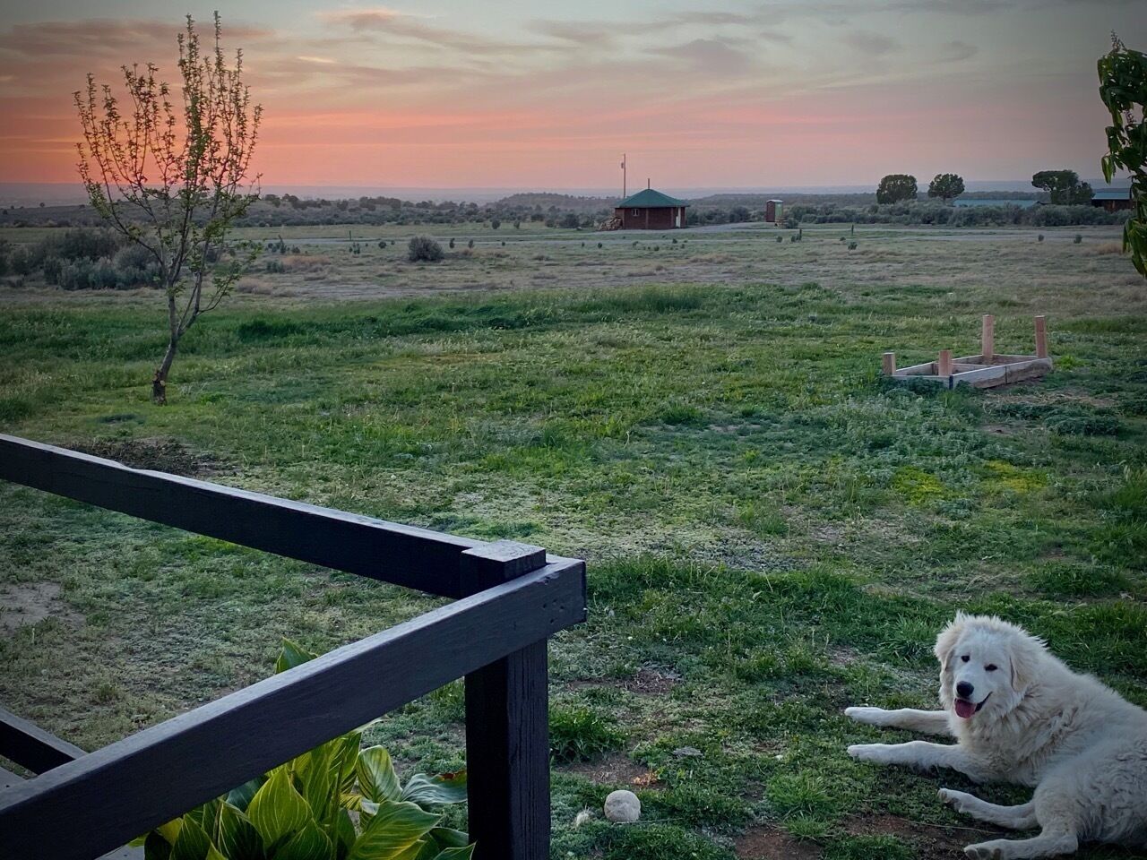 Overnattingsstedets uteområder