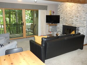 TV, fireplace