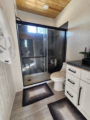 Shower, hair dryer, towels, soap