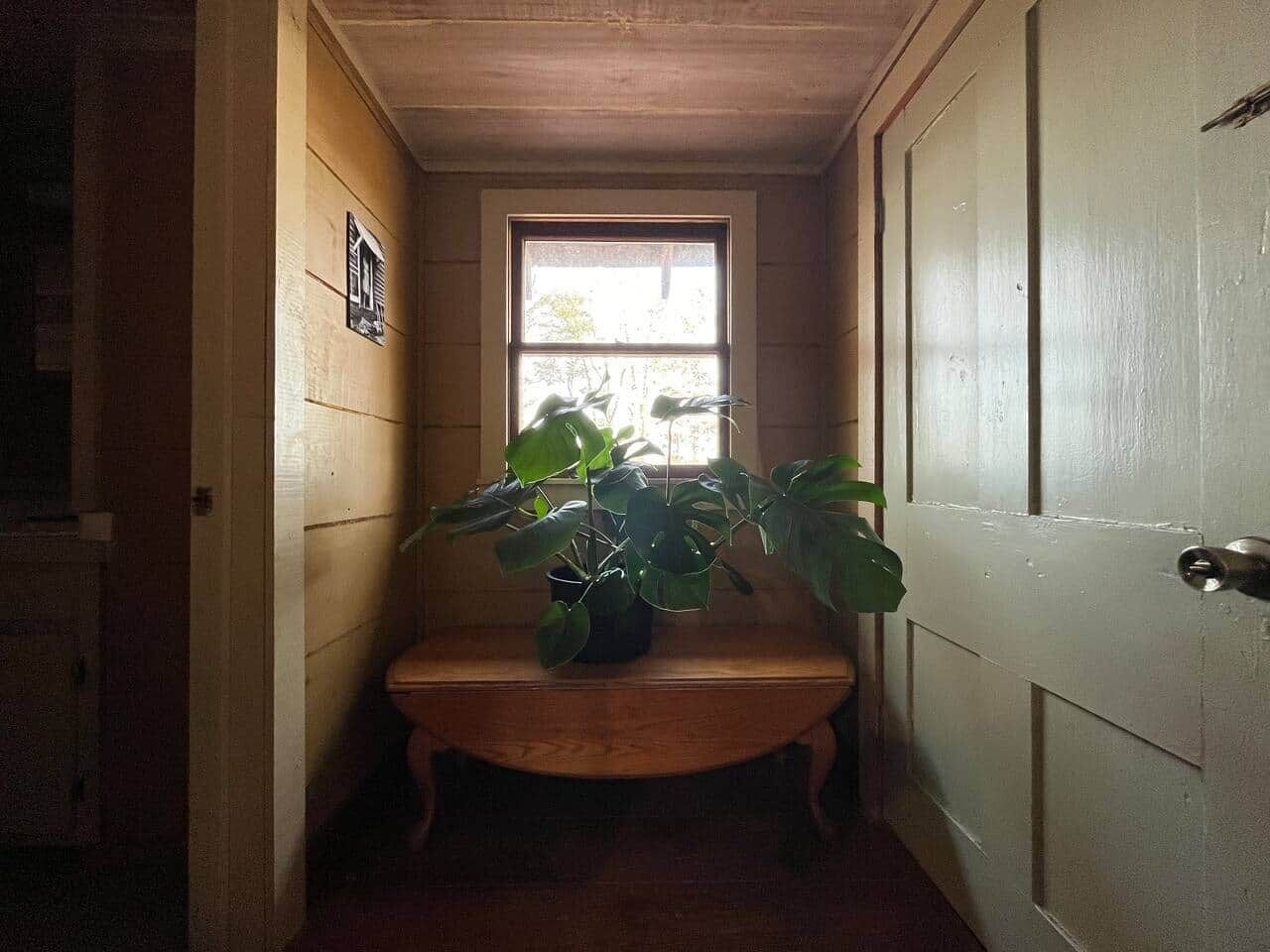 A narrow hallway with a wooden bench, a potted plant, and a door with a window above it.