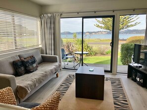 智能电视、DVD 播放器、书、立体声音响