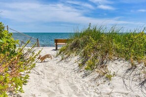 Playa en los alrededores 