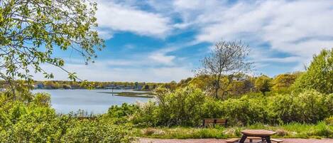 A picnic area with a table and benches, surrounded by greenery and a view of a lake.