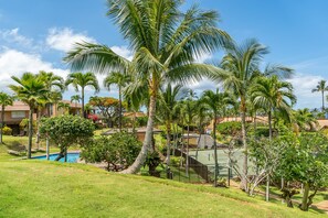 A resort with a swimming pool, palm trees, and tennis courts.
