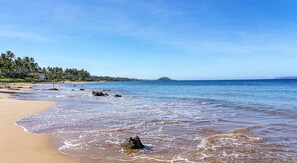 Enjoy a serene beach setting with palm trees and gentle waves lapping at the shore.