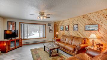 Flat-screen TV, fireplace, DVD player, books