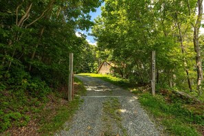 A gravel path leading to a wooden cabin surrounded by dense green foliage.