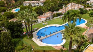 Un'ampia piscina a forma di curva circondata da palme e un prato curato.