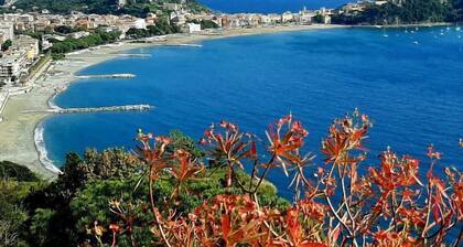 La Gerbera by Interhome