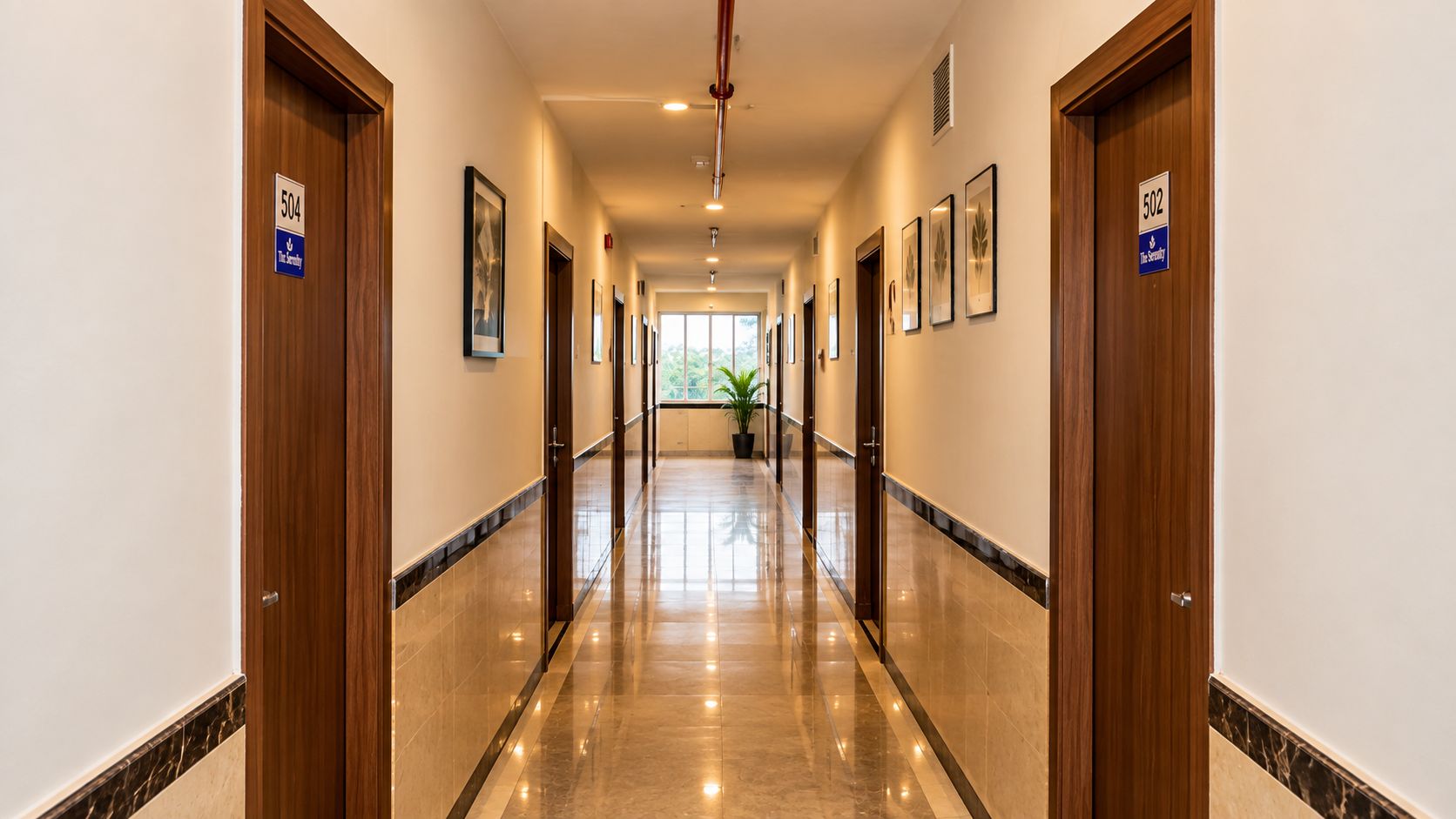 A hotel hallway with doors numbered 504 and 502, a potted plant, and framed artwork on the walls.