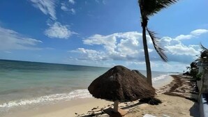 Une plage avec une structure recouverte de chaume, des chaises longues blanches et un palmier.