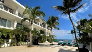 Un complexe hôtelier doté d’une piscine, de palmiers et offrant une vue sur l’océan.