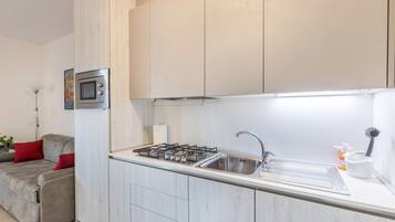 Fridge, microwave, stovetop, dishwasher