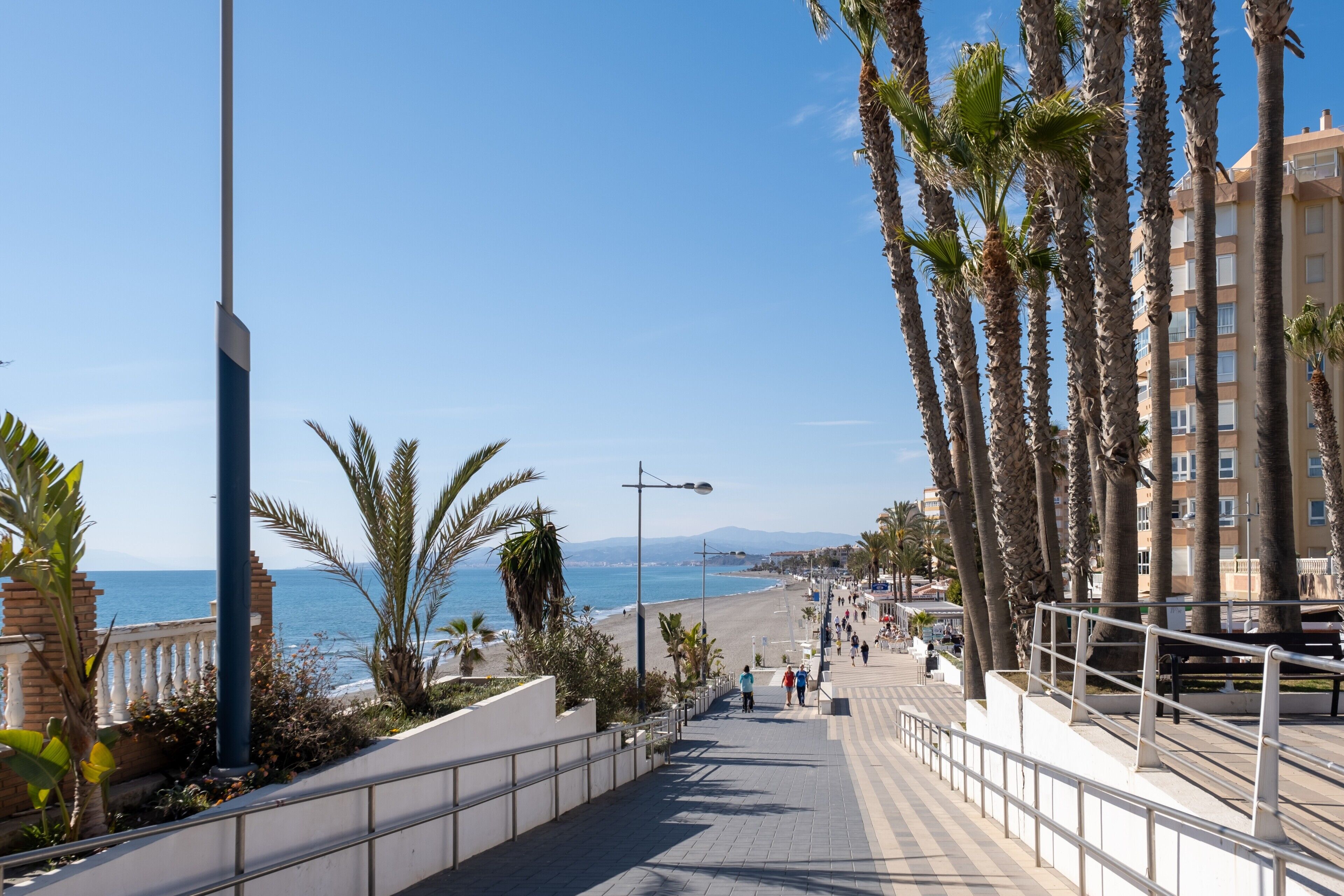 Une promenade en bord de mer bordée de palmiers, une plage et un immeuble doté de balcons.